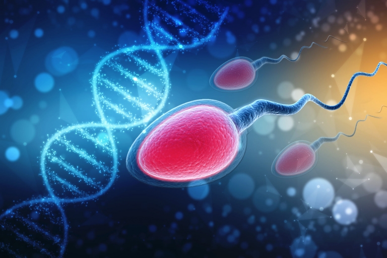 Как определяют степень фрагментации ДНК сперматозоидов: обзор тестов