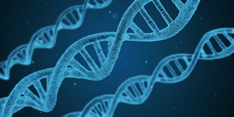 Фрагментация ДНК сперматозоидов: эффективная помощь 